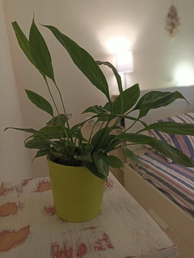 Apartament Confortable Habitacion Centrica En Piso Privado Malaga Zewnętrze zdjęcie