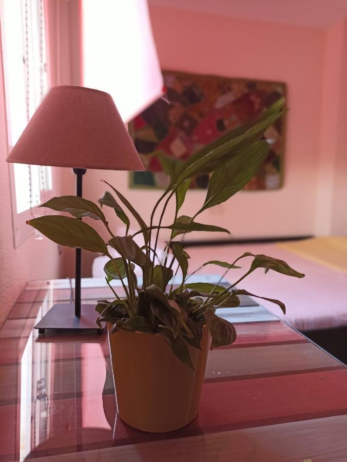 Apartament Confortable Habitacion Centrica En Piso Privado Malaga Zewnętrze zdjęcie