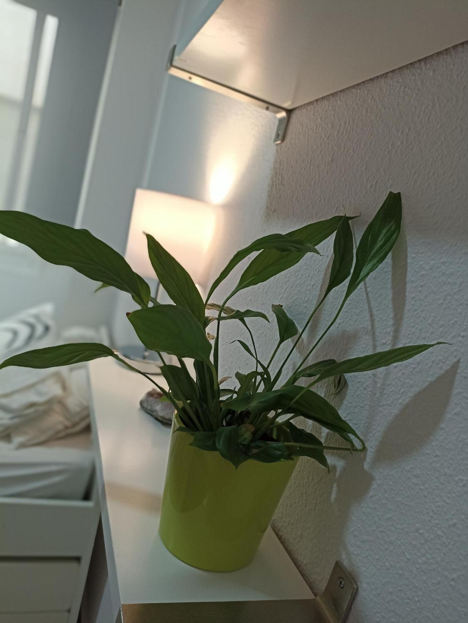 Apartament Confortable Habitacion Centrica En Piso Privado Malaga Zewnętrze zdjęcie